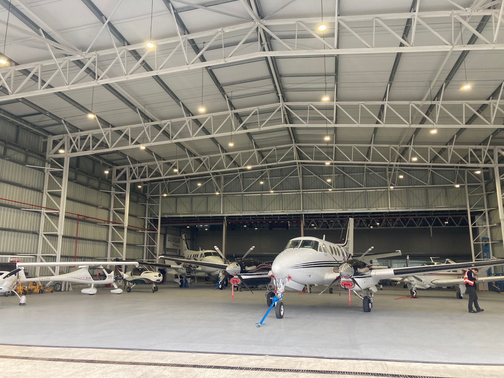 Aviasur