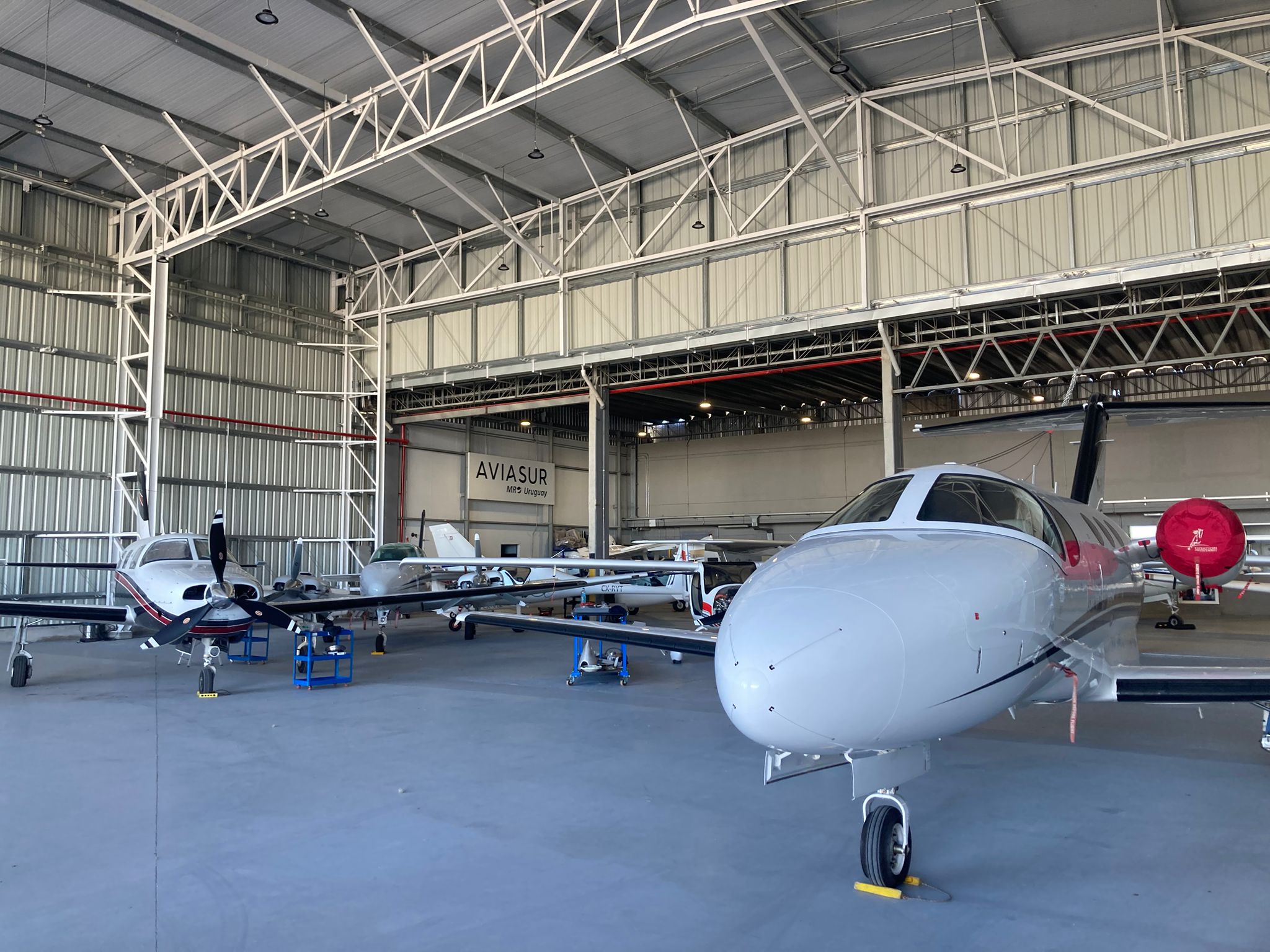 Aviasur